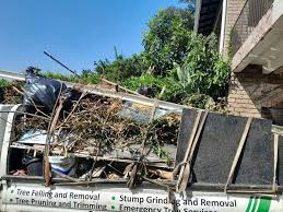 Best Demolition Debris Removal  in Lady Lake, FL