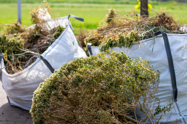 Best Dumpster Rental Services  in Lady Lake, FL